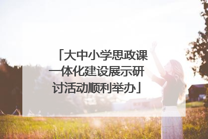 大中小学思政课一体化建设展示研讨活动顺利举办