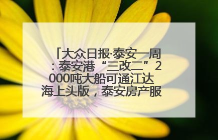 大众日报·泰安一周：泰安港“三改二”2000吨大船可通江达海上头版，泰安房产服务改革经验全省推广