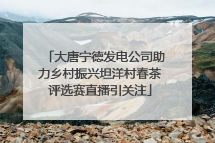 大唐宁德发电公司助力乡村振兴坦洋村春茶评选赛直播引关注