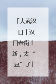 大武汉一日︱汉口老街上新，太“豆”了