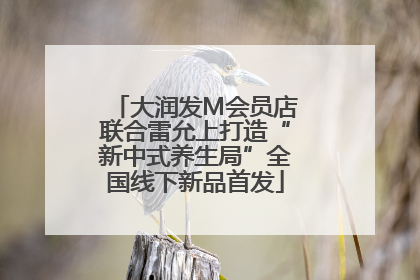 大润发M会员店联合雷允上打造“新中式养生局”全国线下新品首发