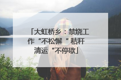 大虹桥乡：禁烧工作“不松懈“ 秸秆清运“不停歇