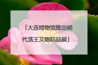 大连博物馆推出明代藩王文物精品展