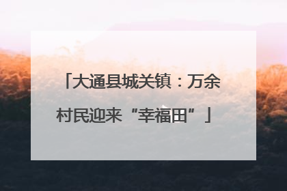 大通县城关镇：万余村民迎来“幸福田”