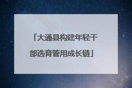 大通县构建年轻干部选育管用成长链