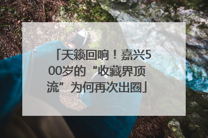 天籁回响！嘉兴500岁的“收藏界顶流”为何再次出圈