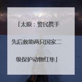 太原：警民携手 先后救助两只国家二级保护动物红隼