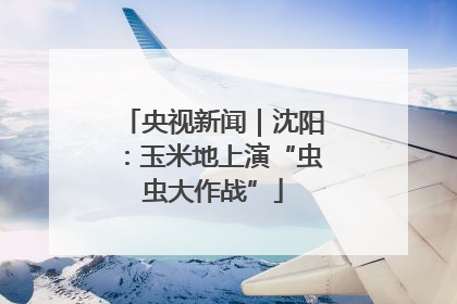 央视新闻｜沈阳：玉米地上演“虫虫大作战”