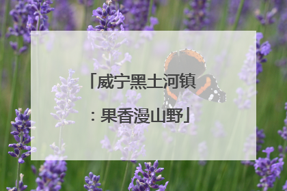 威宁黑土河镇：果香漫山野