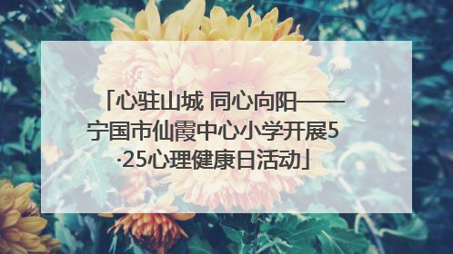 心驻山城 同心向阳——宁国市仙霞中心小学开展5·25心理健康日活动