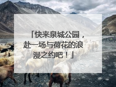 快来泉城公园，赴一场与荷花的浪漫之约吧！