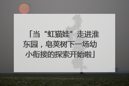 当“虹猫娃”走进淮东园，皂荚树下一场幼小衔接的探索开始啦
