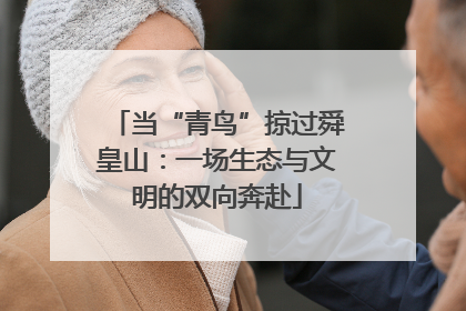 当“青鸟”掠过舜皇山：一场生态与文明的双向奔赴