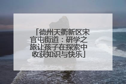 德州天衢新区宋官屯街道：研学之旅让孩子在探索中收获知识与快乐