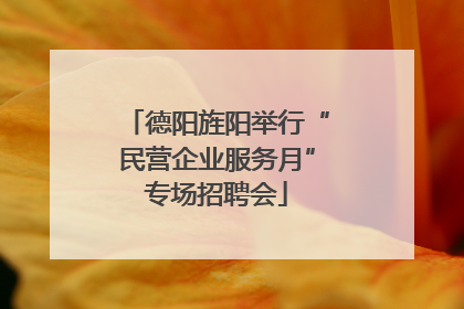 德阳旌阳举行“民营企业服务月”专场招聘会
