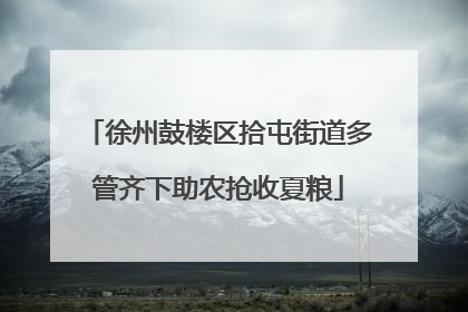 徐州鼓楼区拾屯街道多管齐下助农抢收夏粮