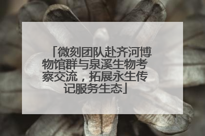 微刻团队赴齐河博物馆群与泉溪生物考察交流，拓展永生传记服务生态