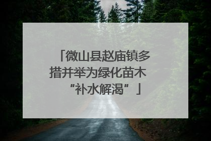微山县赵庙镇多措并举为绿化苗木“补水解渴”