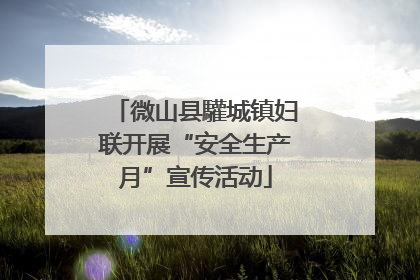 微山县驩城镇妇联开展“安全生产月”宣传活动