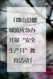 微山县驩城镇应急办开展“安全生产月”教育活动