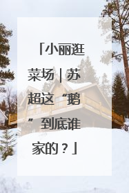 小丽逛菜场｜苏超这“鹅”到底谁家的？