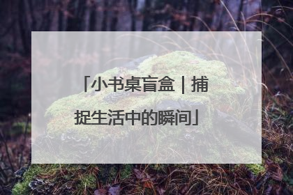 小书桌盲盒｜捕捉生活中的瞬间