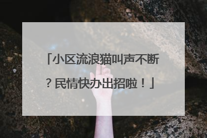 小区流浪猫叫声不断？民情快办出招啦！