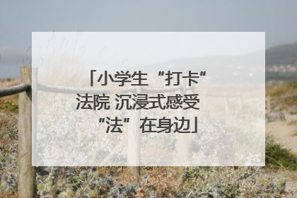 小学生“打卡”法院 沉浸式感受“法”在身边