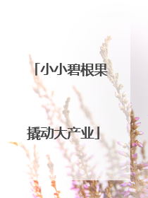 小小碧根果撬动大产业