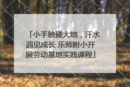 小手触碰大地，汗水遇见成长 乐师附小开展劳动基地实践课程