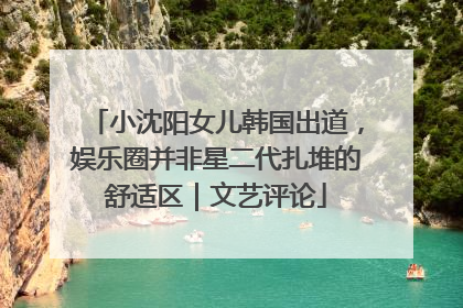 小沈阳女儿韩国出道，娱乐圈并非星二代扎堆的舒适区｜文艺评论