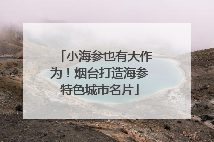 小海参也有大作为！烟台打造海参特色城市名片