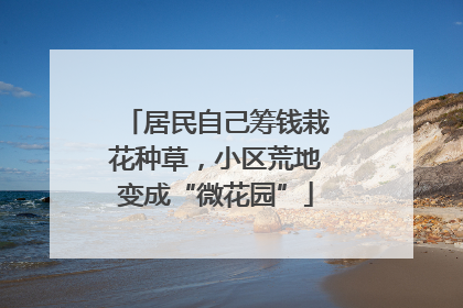 居民自己筹钱栽花种草，小区荒地变成“微花园”