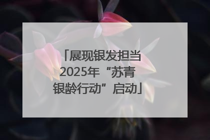 展现银发担当 2025年“苏青银龄行动”启动