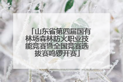 山东省第四届国有林场森林防火职业技能竞赛暨全国竞赛选拔赛鸣锣开赛