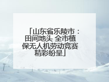 山东省乐陵市：田间地头 全市植保无人机劳动竞赛精彩纷呈