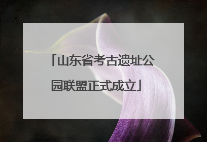 山东省考古遗址公园联盟正式成立