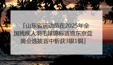 山东省运动员在2025年全国残疾人羽毛球锦标赛暨东京聋奥会选拔赛中斩获3银1铜