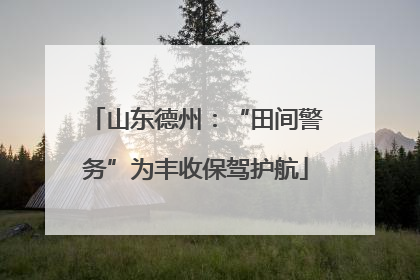 山东德州：“田间警务”为丰收保驾护航