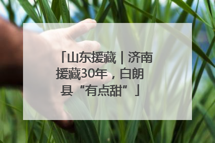 山东援藏｜济南援藏30年，白朗县“有点甜”