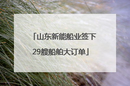 山东新能船业签下29艘船舶大订单