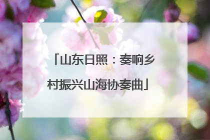 山东日照：奏响乡村振兴山海协奏曲