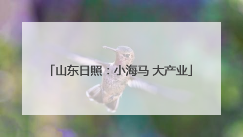 山东日照：小海马 大产业