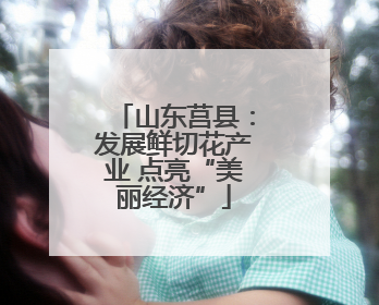 山东莒县：发展鲜切花产业 点亮“美丽经济”