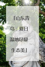 山东青岛：夏日湿地尽显生态美