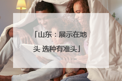 山东：展示在地头 选种有准头