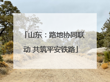 山东：路地协同联动 共筑平安铁路
