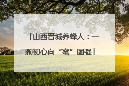 山西晋城养蜂人：一颗初心向“蜜”图强