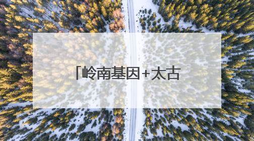 岭南基因+太古里DNA =？大湾区首座太古里年底揭秘“首秀”