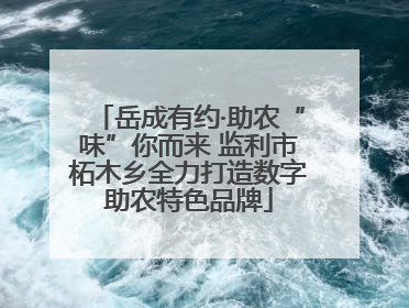 岳成有约·助农“味”你而来 监利市柘木乡全力打造数字助农特色品牌